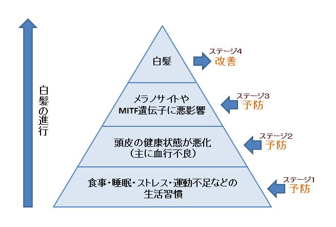 白髪のステージ