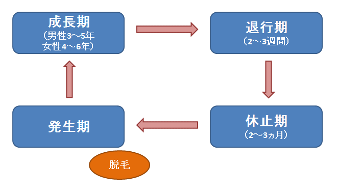 ヘアサイクル