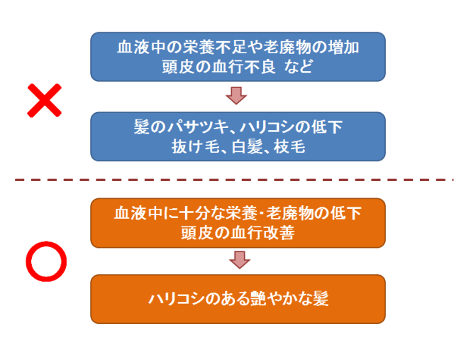 美髪の考え
