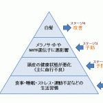 白髪の原因とメカニズム！あなたはどのステージ？