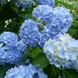 梅雨はなぜ髪がまとまらないか？