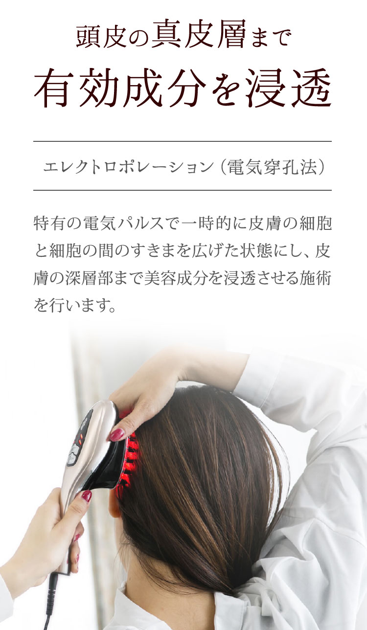 頭皮の真皮層まで有効成分を浸透