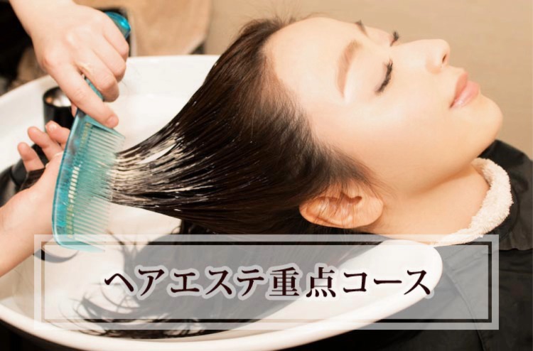 ヘアエステ重点コース