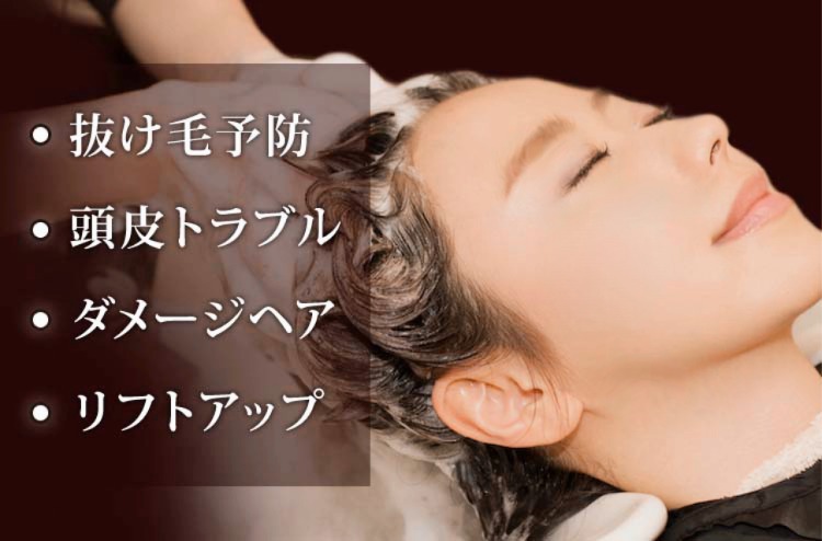抜け毛予防 頭皮トラブル ダメージヘア リフトアップ