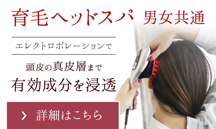 育毛ヘッドスパ 男女共通 エレクトロポーションで頭皮の真皮層まで有効成分を浸透
